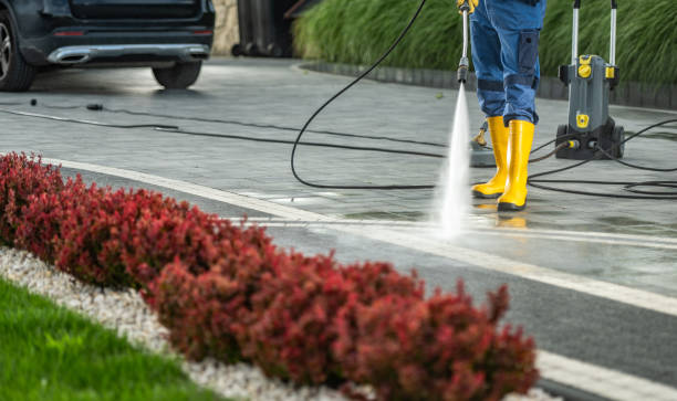 Best Roof Pressure Washing  in Atoka, NM